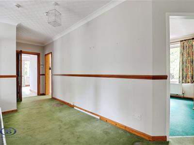Picture 25